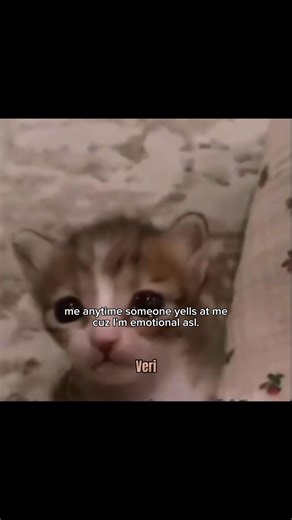 #fypp #relatable #fyp #cbum #foryou #fypシ #fypp #fypシ゚viral #funny #funnyvideo #crying #cry #lol #xd