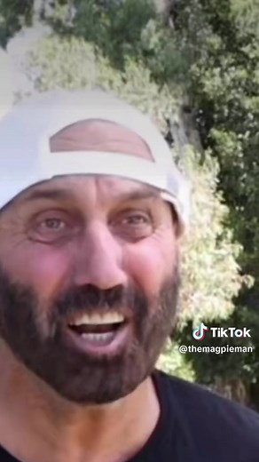 Magpie Swooping Season: Dealing with Mad Magpies