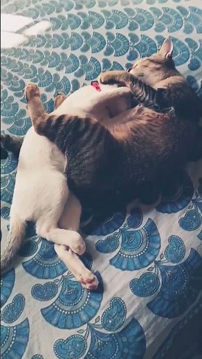 Two brothers sleeping together