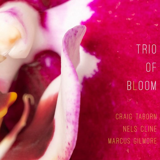 Trio of Bloom, by Craig Taborn, Nels Cline, Marcus Gilmore