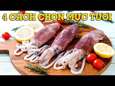 4 cách chọn mực tươi ngon đơn giản - Mẹo Vặt Cuộc Sống