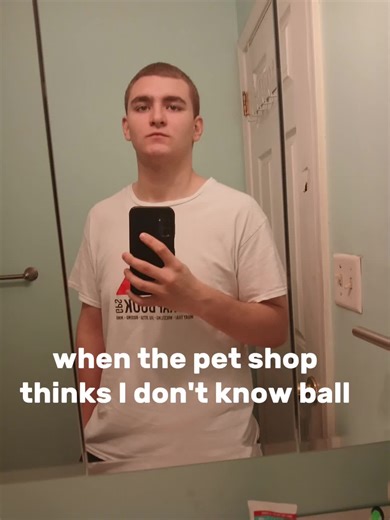 Upgrading Animal Habitats: Snakes and Chameleons