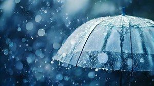 Water Droplets Transparent Images – Browse 1,092,621 Stock Photos, Vectors, and Video