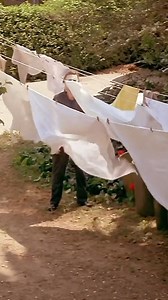 Happy Halloween ! Le crossover ultime | FilmsActu