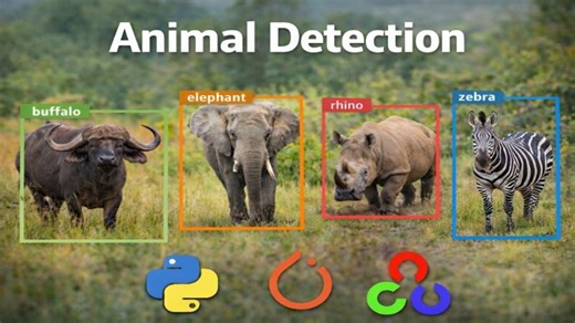 Animal Detection with Faster R-CNN in PyTorch | NITIN SAINI posted on the topic | LinkedIn