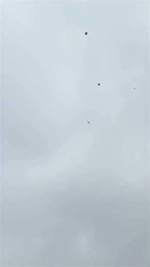 Kite lootng 😍 #kites #patang #kitelooting