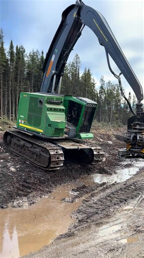 swamplogging 🚜💸🌲🪚 #LoggingLegend #realismtattoo #forestrylife #johndeere #loggertok #timberdollars #georgialoggers #logging #tigercat #forestry #deer #hunting | Peake Warren