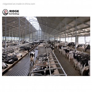 [Hot Item] Prefabricated Metal Warehouse Building Prefab Chicken House Cow Shed Steel Structure Factory