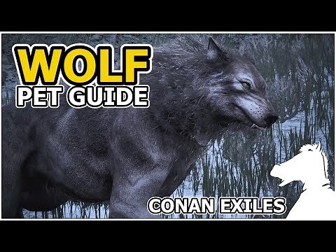 WOLF | Pets Guide | CONAN EXILES