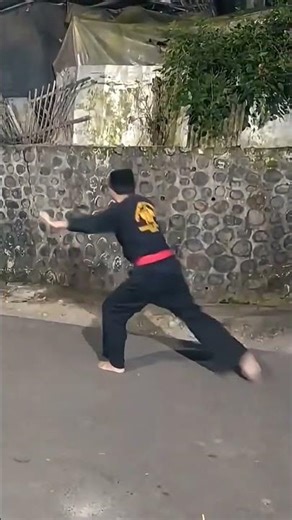“Classic Pencak Silat Moves 🇮🇩”