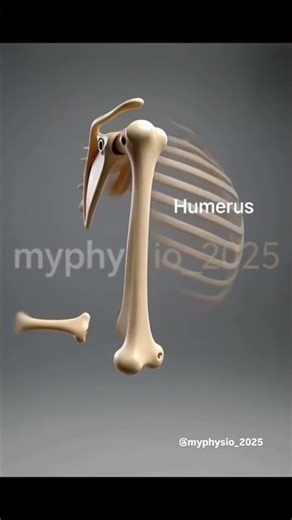 #education #fitness #dancevideo #bones #education #workout #music #viralreels #trending