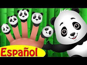 Familia Dedo Panda (Panda Finger Family) | Canciones de Animales de Familia Dedo | ChuChu TV