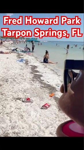 Fred Howard Park, Tarpon Springs | Florida’s Hidden Coastal Escape