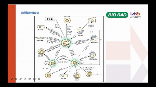 luminex技术介绍——液相悬浮芯片技术