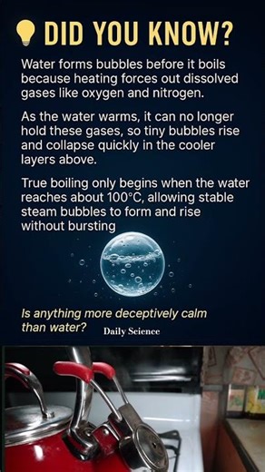 Why water forms bubbles before it boils 💧 | Everyday Science Explained #waterelement