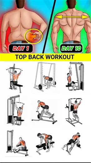 workout Zone on Instagram: "🔥 Day 226/365 – Back Power Builder Workout 💪 Let’s hit the back hard today — this routine will target your lats, traps, and rear delts for that wide, strong V-shape look! 🦅 Workout Plan: ✅ Pull-Ups – 4 sets × 10 reps ✅ Bent Over Rows – 4 sets × 12 reps ✅ Lat Pulldowns – 3 sets × 15 reps ✅ One Arm Dumbbell Row – 3 sets × 12 reps (each side) ✅ Seated Cable Rows – 3 sets × 15 reps ✅ Reverse Fly – 3 sets × 12 reps 💥 Focus on form, feel the stretch and squeeze every re