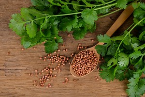 Dhaniya ke Fayde - हरा धनिया के फायदे, धनिया के औषधीय गुण | Dhania Benefits in Hindi