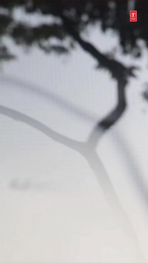 269K views · 498 reactions | Love deepens with each passing day, feel it with #RozPyaar✨ https://linktr.ee/Fragrance_MillindGaba #Fragrance Out Now #tseries #BhushanKumar Millind Gaba #DhruvYogi | T-Series | Facebook