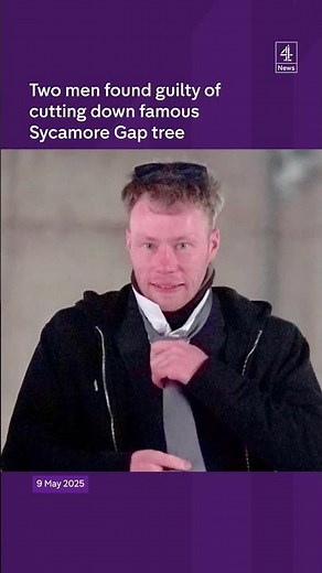 Two men found guilty of felling Sycamore Gap tree