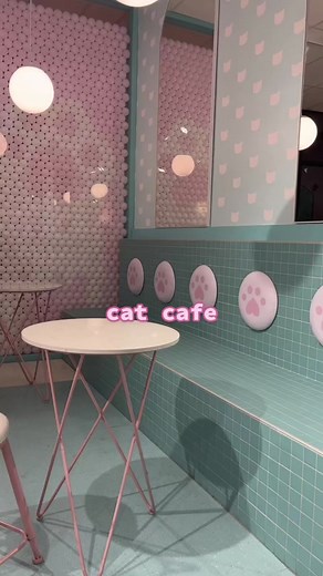 Cutest Cat Cafe Experience with Boba Kittens