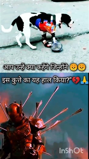 dog emotional short #dog #emotional #emotional