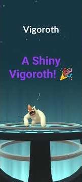 Shiny Slakoth's Evolving! Pokemon Go Evolution Shiny Vigoroth Shiny Slaking
