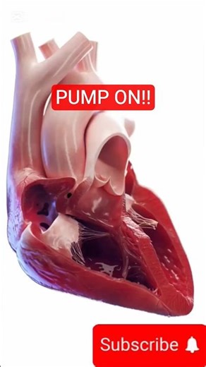 ❤️ Watch This 3D Heart pumping in Real-Time! | Daily Habits for a Healthy Heart 🫀
