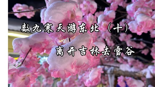 数九寒天游东北（十）离开吉林去雪谷