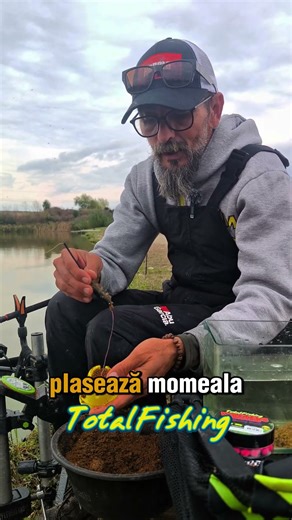 How to catch carp faster with a method feeder!