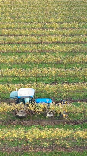 DONDI on Instagram: "Power. Precision. Performance. ⚙️🇮🇹 At Agritechnica 2025, Dondi presents the new EVO Series subsoilers – available in both mechanical and hydropneumatic versions. Designed for deep, efficient, and sustainable soil tillage, EVO combines innovation and reliability to meet the needs of modern agriculture. 🌱 📅 9–15 November 2025 📍 Hannover, Germany – Hall 11, Stand B23 #Agritechnica2025 #Dondi #EvoSeries #SoilTillage #Subsoiler #InnovationInAgriculture #MadeInItaly #Sustain