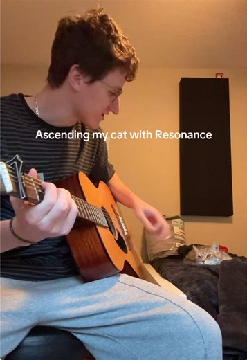 Cat Enjoys Guitar Resonance in Adorable Moment
