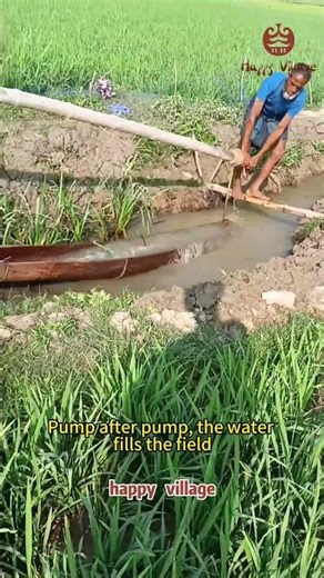 With one move of this old-school tool, water flows right into the field #FarmingWisdom #RuralMemory