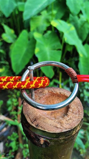 The Impossible Knot Everyone Wants to Learn! 🤯🪢