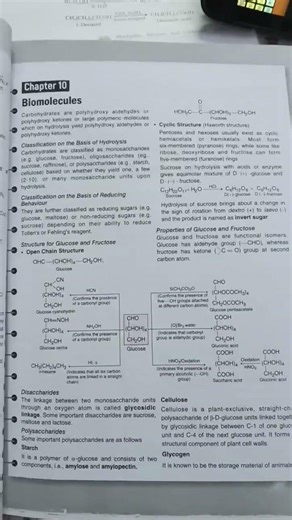 Amines and Biomolecules #chemistry
