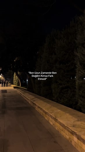 Serene Night Walk in the Park