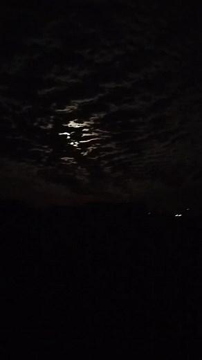 Gustavo Tranier on Reels