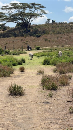 Idunn Vollan | get dressed with me sound effect edition ✨ #fashion #grwm #dress | Instagram