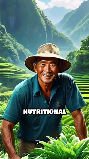 Adlai: The Philippines' Ancient Grain Revival