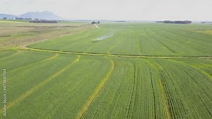 crop, sprayer, cropduster, crop, duster, plane, pesticide, herbicide, control, dangerous, farming, flight, toxic, airplane, crop, chemical, low, plane, spraying, aircraft, aviation,