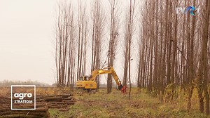 167K views · 2K reactions | Finalul toamnei a adus la Giulvăz,...