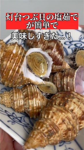 Easy recipe for boiled lighthouse whelk #fish #food #foodporn #shorts