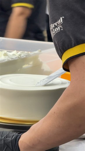 Witness the Art of Cake Crafting! ✨ · Our talented pastry chefs bring every cake to life by hand—no machines involved! 🤯 Watch as they expertly spread frosting with precision and speed, turning each cake into a masterpiece. 🍰 Imagine the dedication it takes to hand-frost thousands of cakes every single day—truly incredible! · Experience the craftsmanship and taste the passion in every bite. 💛 #BreadHistory #HandcraftedDelights #PastryArt #CakeLovers #BakingWithLove #ArtisanPastries #CakePerfe