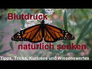 Reduce blood pressure quickly and naturally in minutes with food - reduce high blood pressure