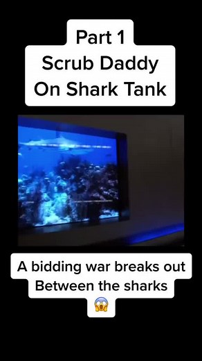 Scrub Daddy Revolutionizing Cleaning on Shark Tank