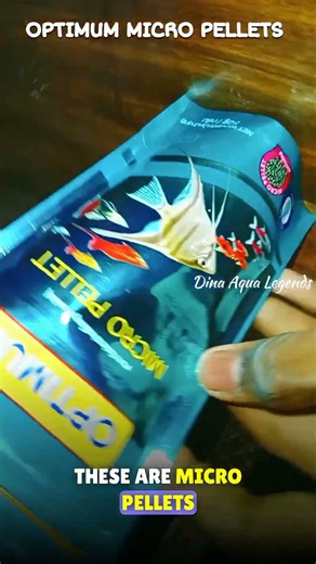 New Guppy Food Unboxing 🐟 Optimum Micro Pellets Review #shorts