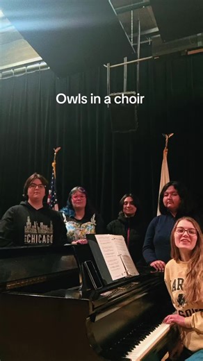 Owls in a Choir: A Musical Memes Collection