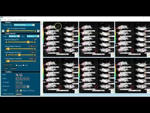 Aura Imaging Software v 4.0: Complete Analysis Tutorial