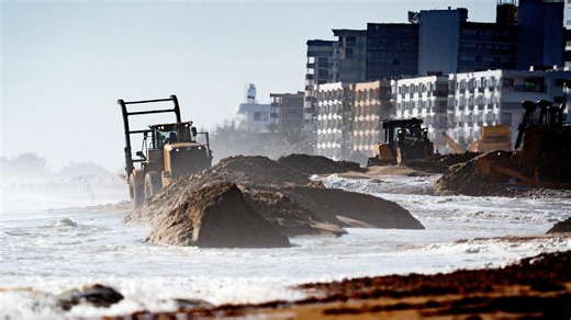 Florida sea turtle nest counts for 2 beach renourishment project areas
