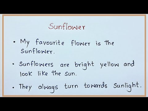 10 Lines on Sunflower | My Favourite Flower Essay | Nifty’s English