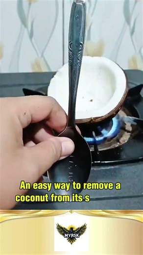 An easy way to remove a coconut from its shell is to simply burn it briefly #shorts